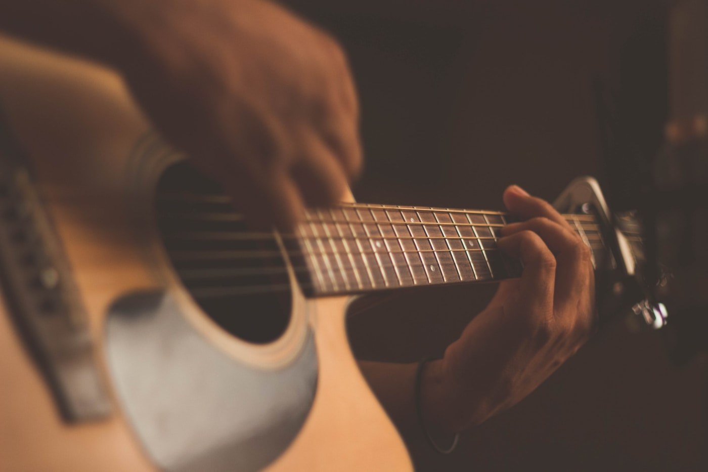 Instrumento de cuerda y músico